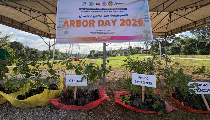 Bani and Caballero seedlings prepared for planting during the Arbor Day tree-planting activity at Regent Heights, San Jose del Monte.